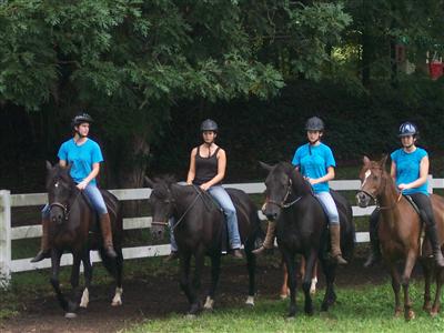 broodmare drill team